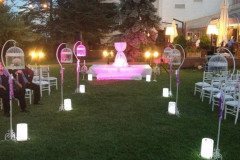 Ankara Gelin Yolu Kiralama