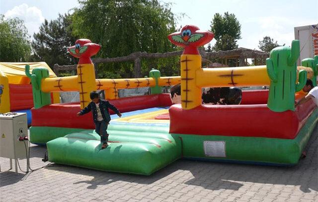 Ankara Oyun Parkları Organizasyonu