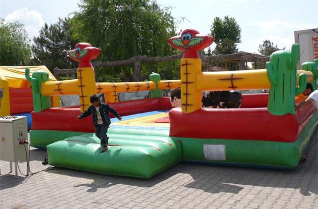 Ankara Oyun Parkları Organizasyonu